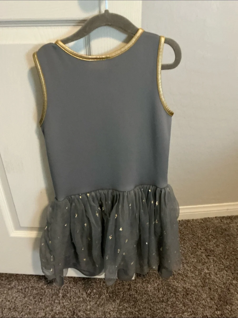 Warner Bros. Gryffindor Gray and Gold Tulle Dress Costume
